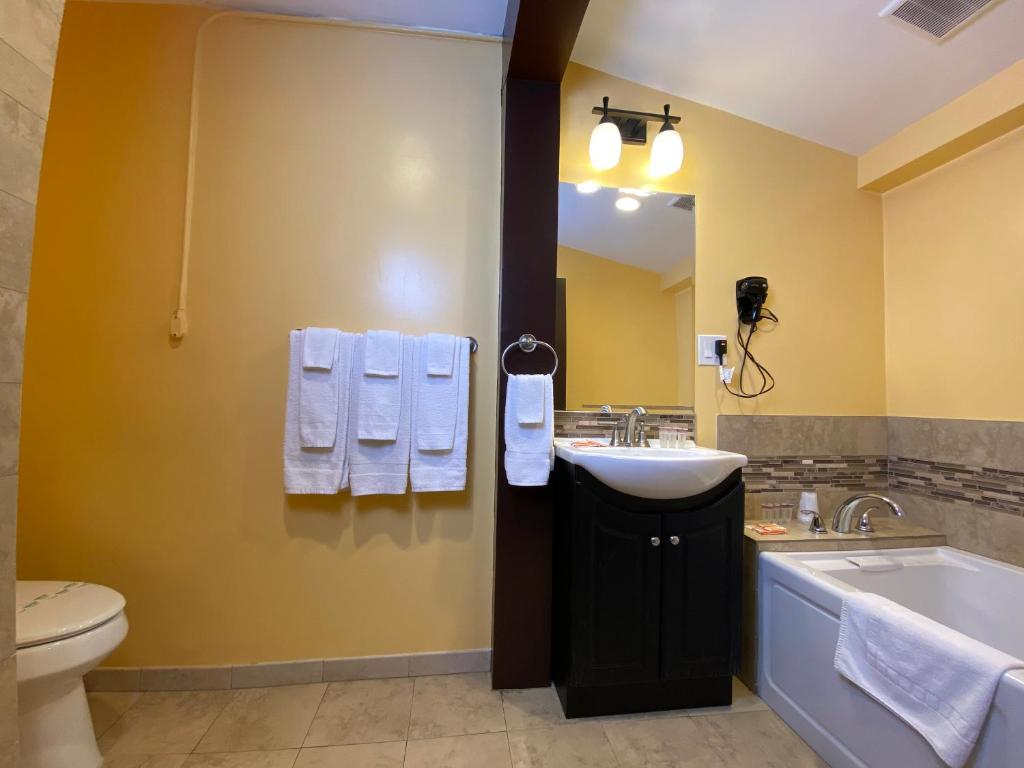 Deluxe Suite with Spa Bath