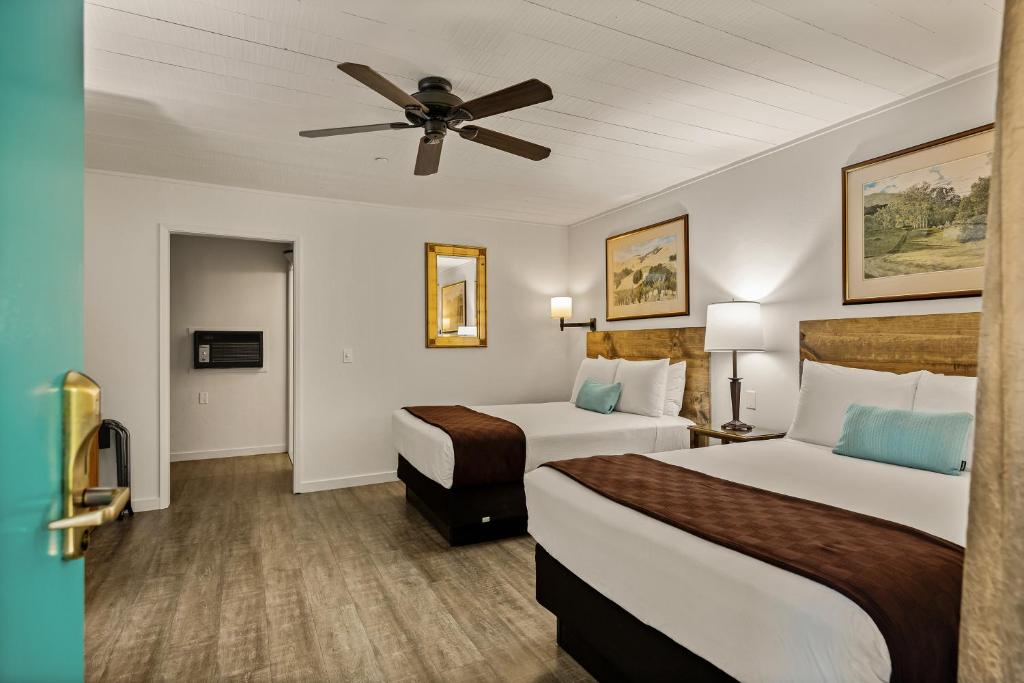 Standard Double Room with Two Double Beds