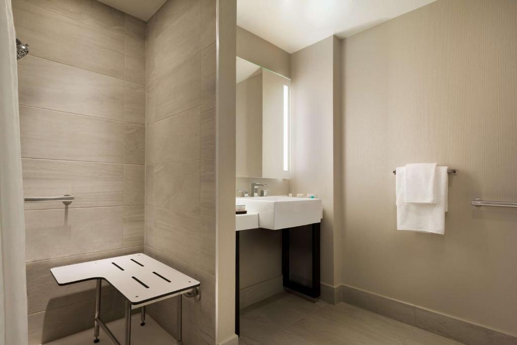 1 King City View Room Mobility Access with 3X3 Shower