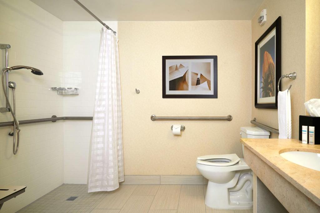 King Room – Mobility Accessible with Roll-in Shower