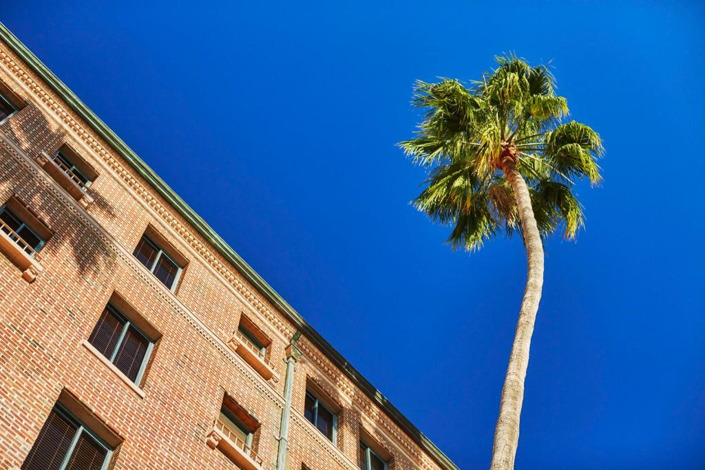 One-Bedroom King Suite