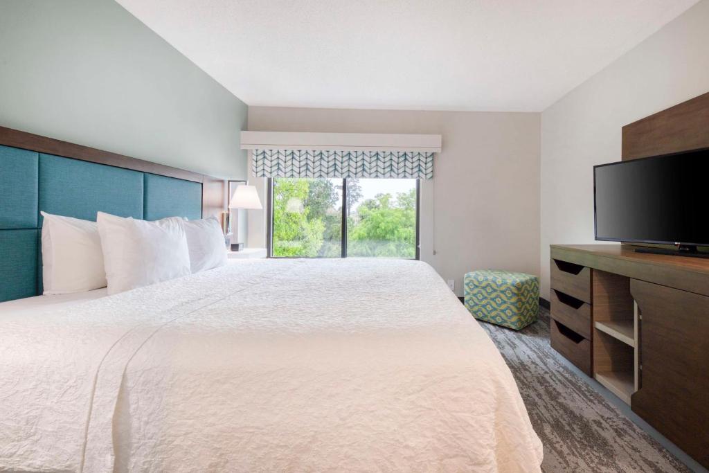 King Suite with Kitchen