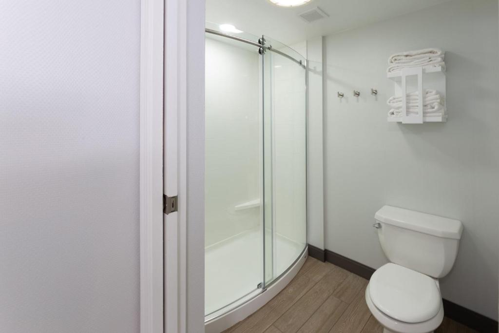 1 King Bed Larger Room With Sofa Bed Non-Smoking