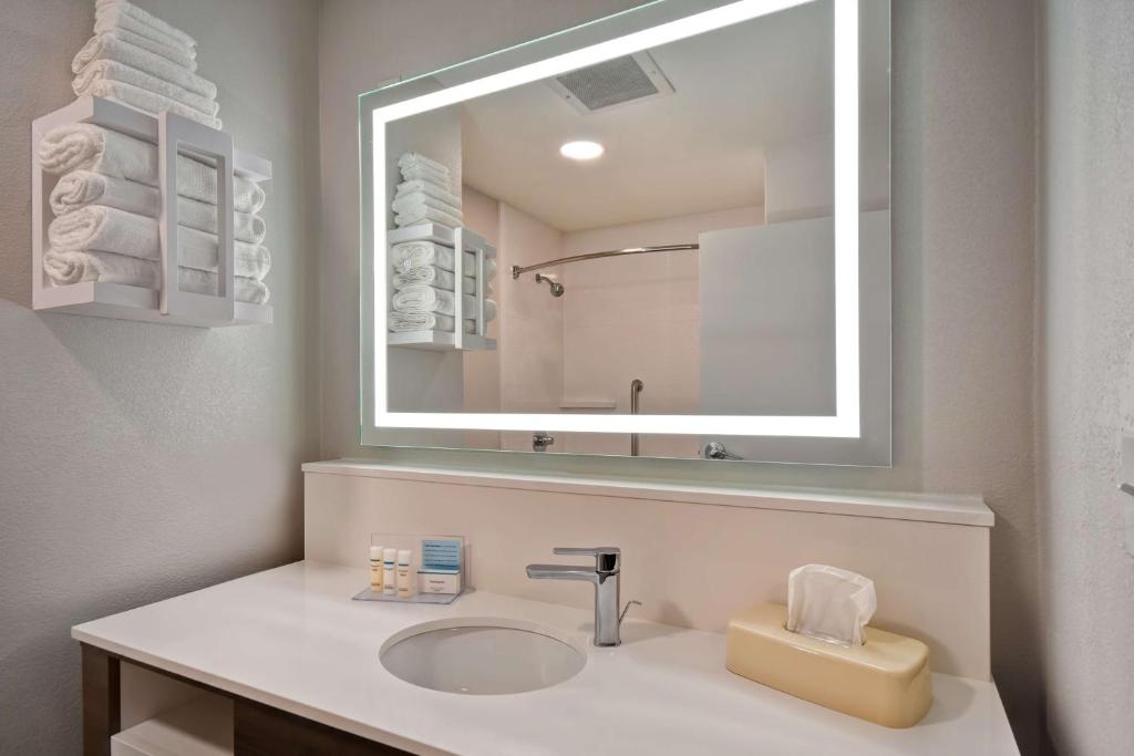 Junior King Suite with Sofa Bed