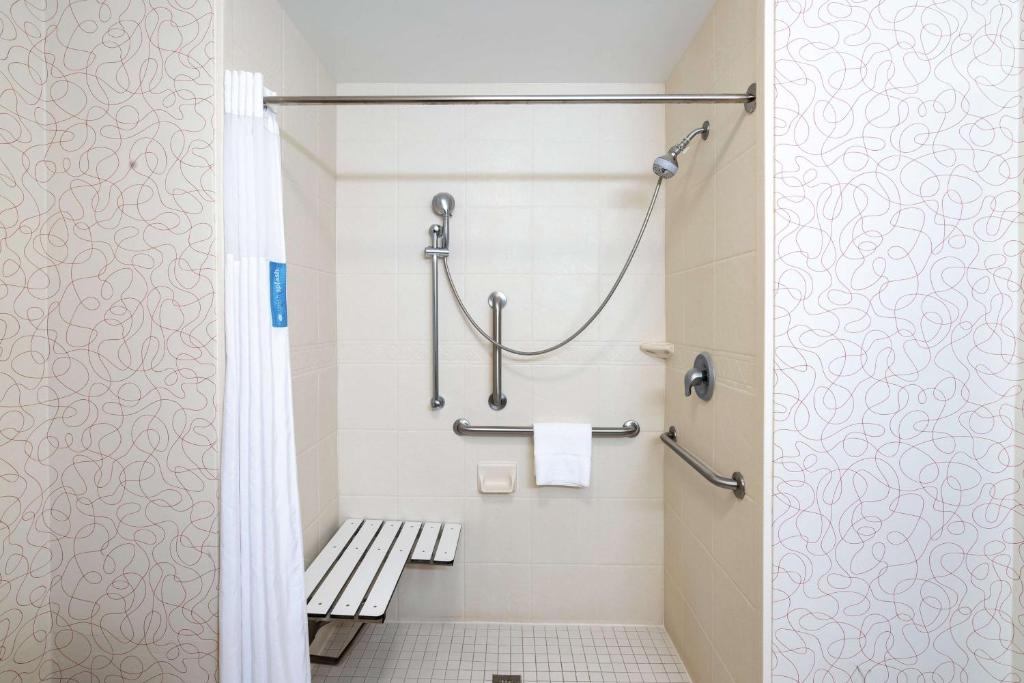 King Room Accessible Roll In with Shower Non Smoking