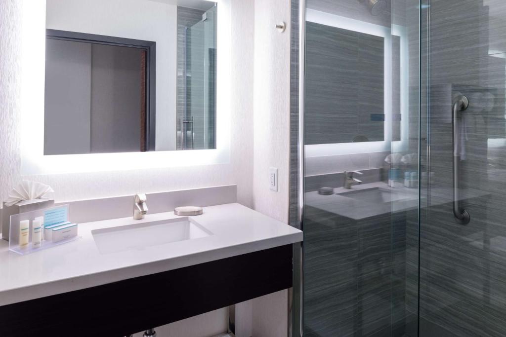 Deluxe King Room with City View