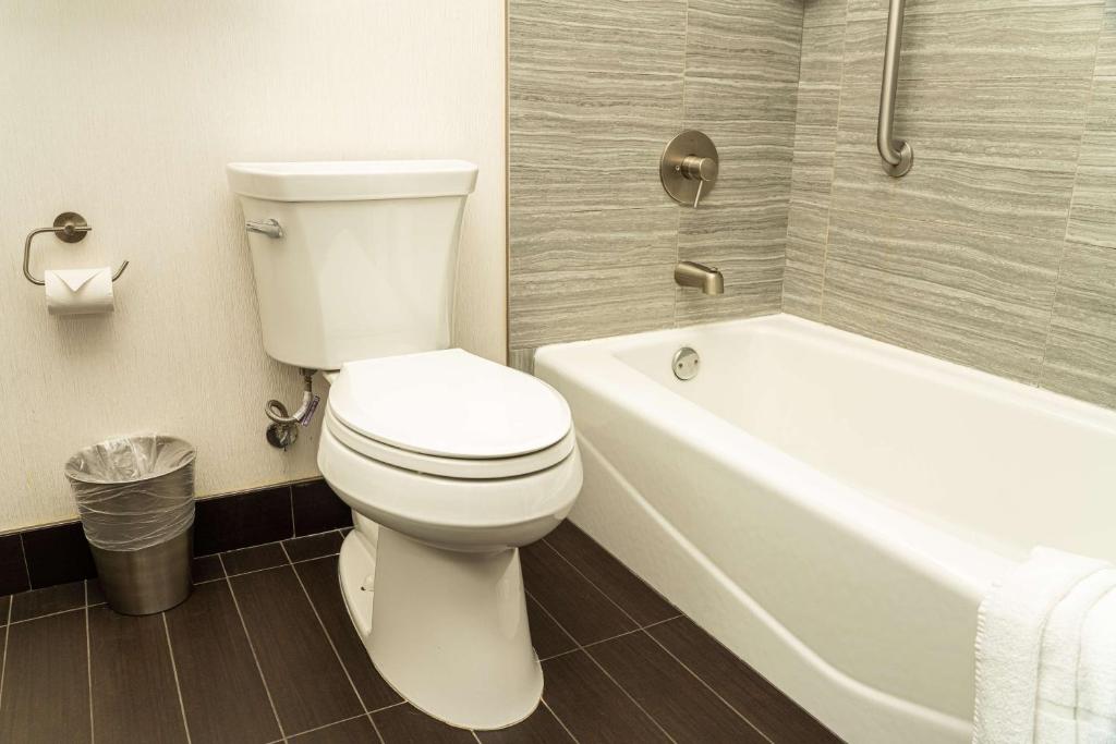 Deluxe King Room with City View