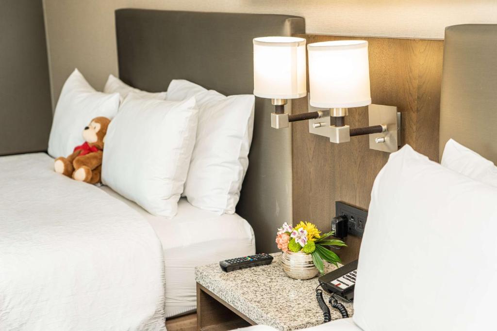 King Room with City View