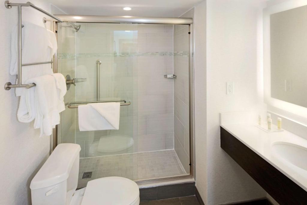 One-Bedroom King Suite