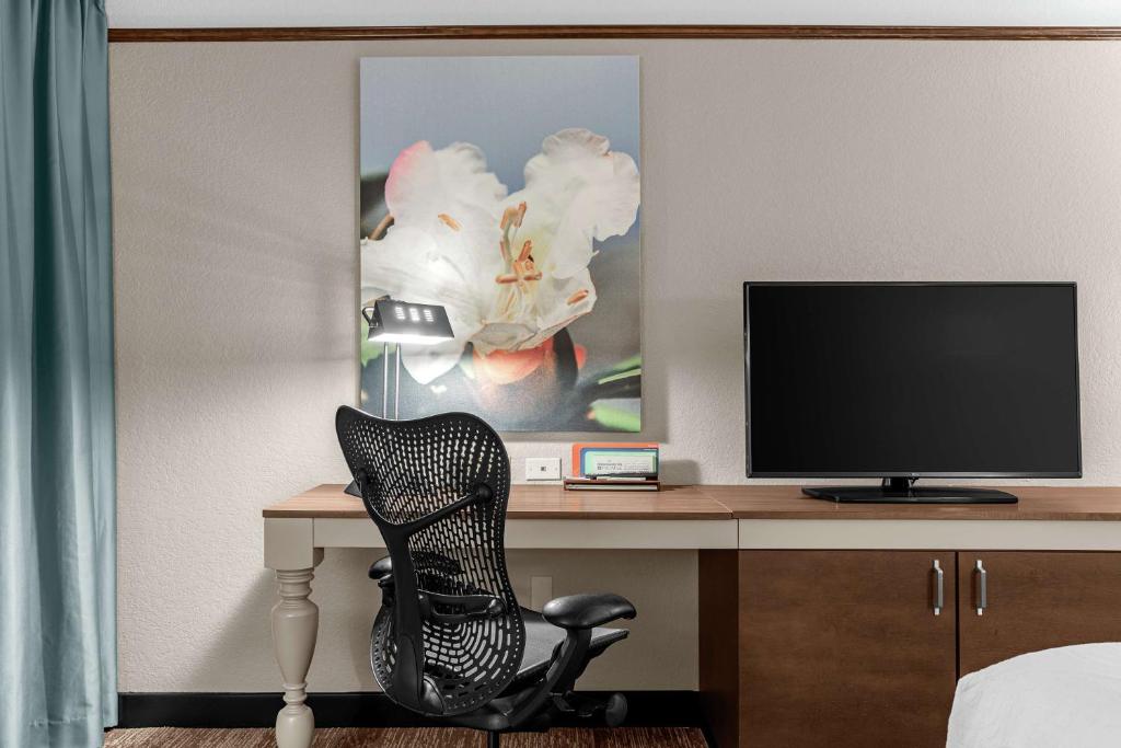 King Room Accessible with Bathtub