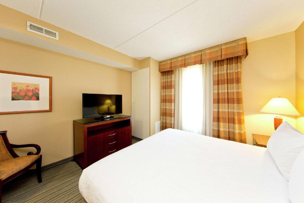 King Evolution Junior Suite with Sofa Bed