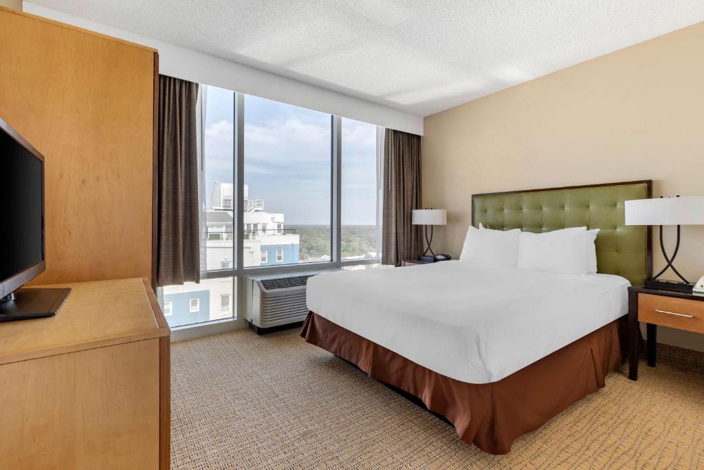 One-Bedroom Queen Suite with Kitchen and City View