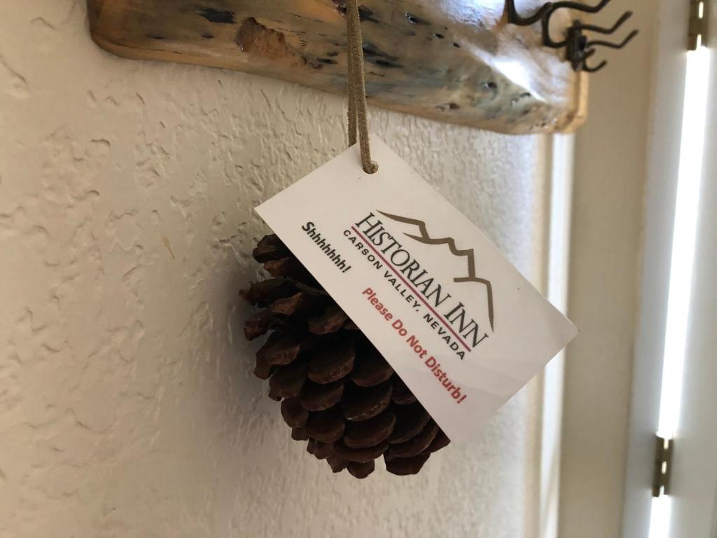 Queen Room – Disability Access – Pet Friendly