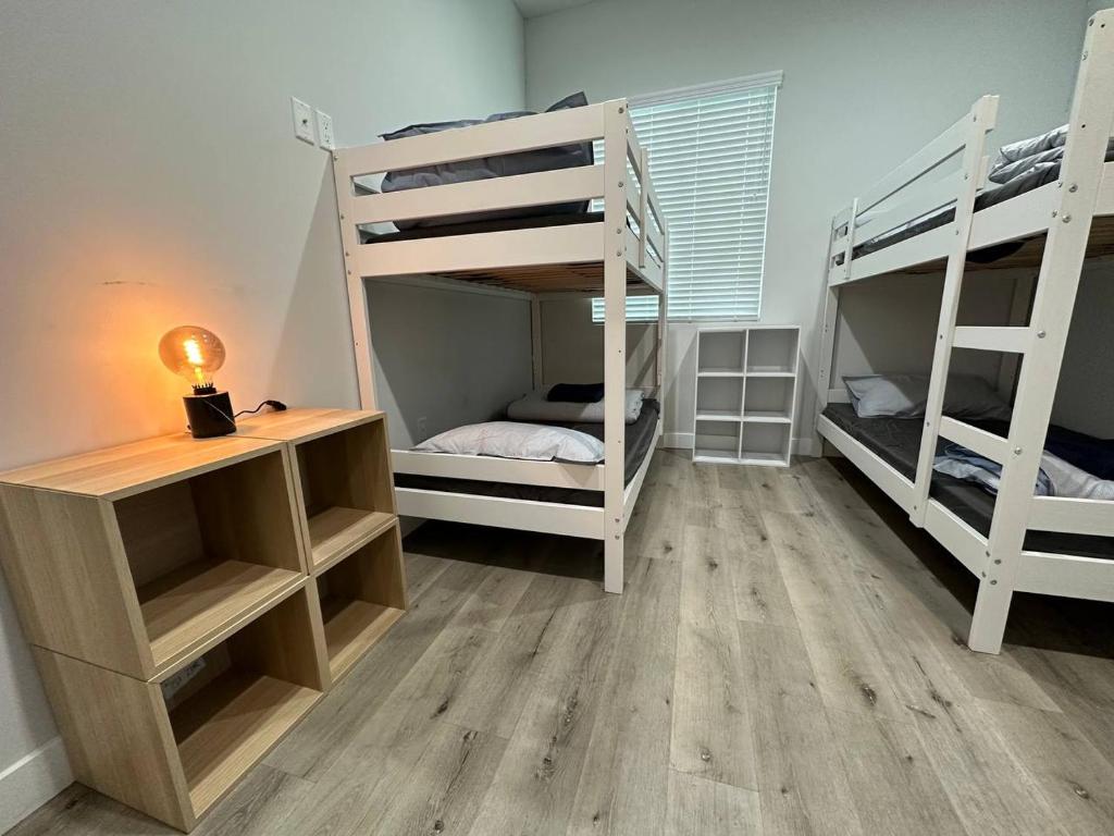 Bunk Bed in Mixed Dormitory Room