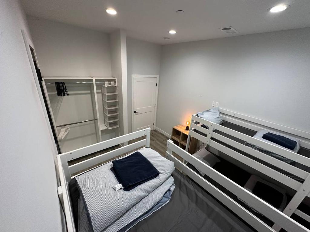 Bunk Bed in Mixed Dormitory Room