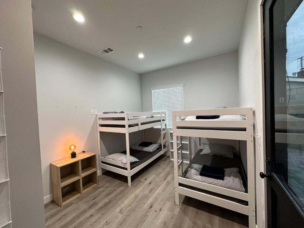 Bunk Bed in Mixed Dormitory Room