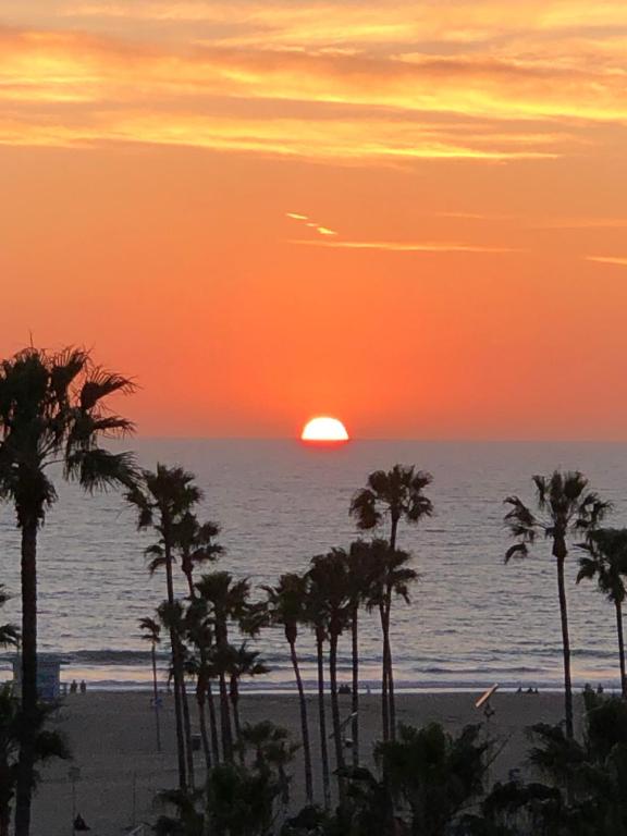 King Suite with Ocean View