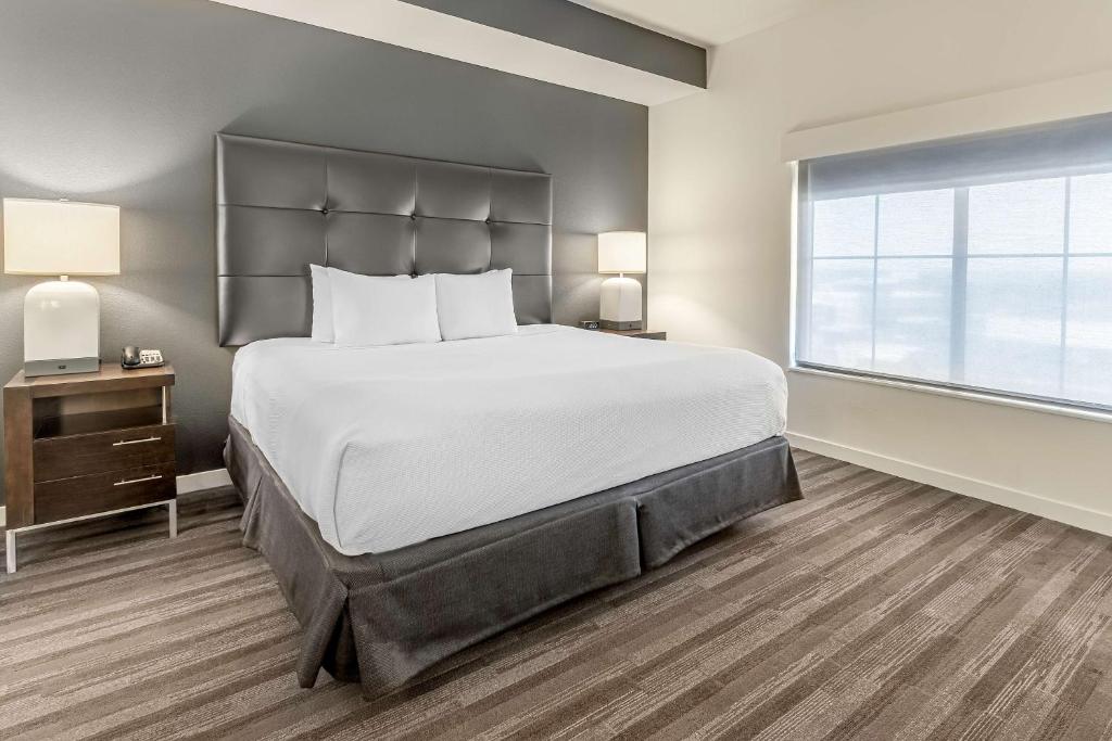 One-Bedroom King Suite