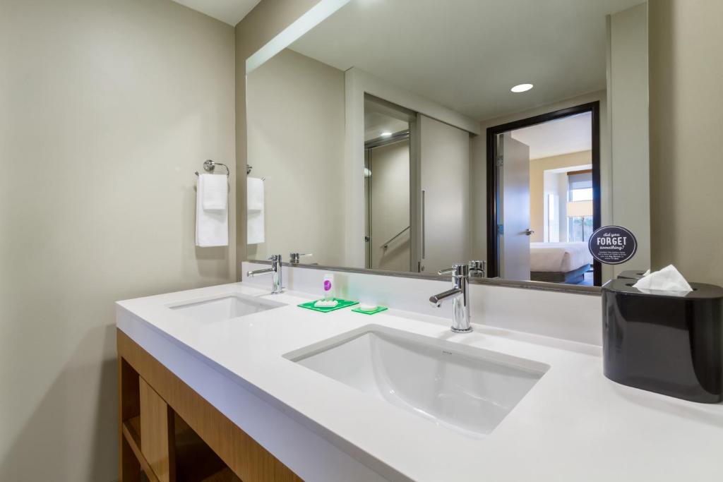 One-Bedroom King Suite with Sofa Bed