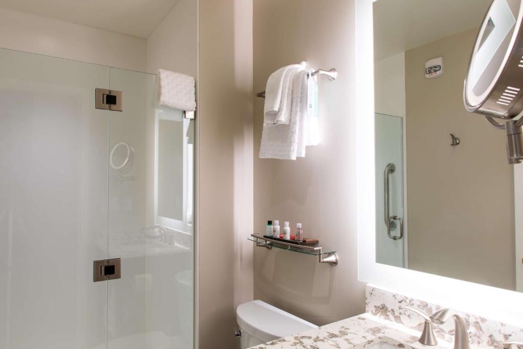 King Room  With Walk-In Shower – Non-Smoking
