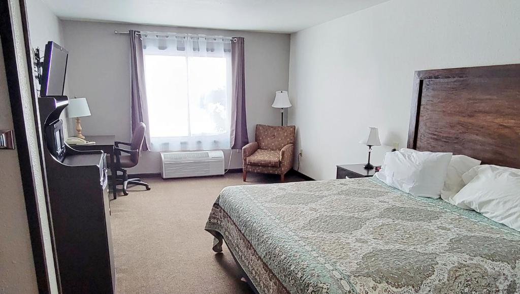 Standard King Room – Not Pet Friendly