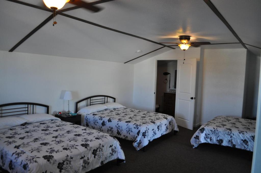 Family Room with Three Queen Beds