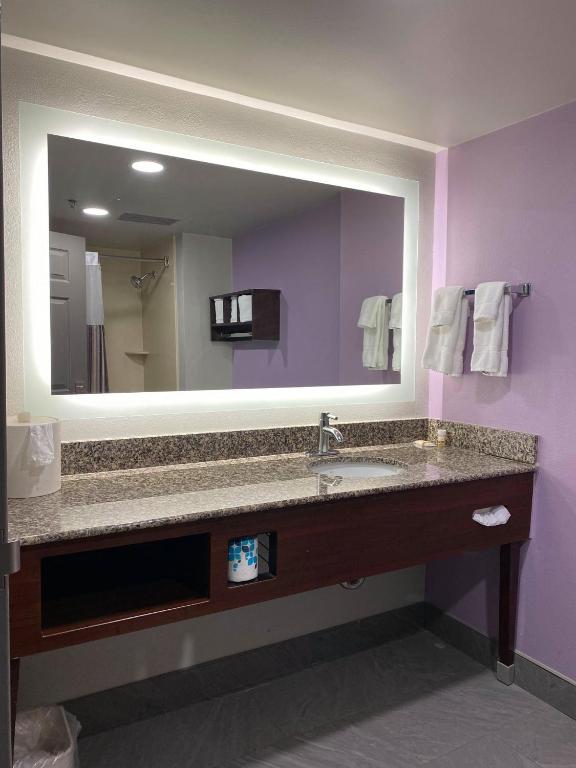 One-Bedroom Executive King Suite – Non-Smoking