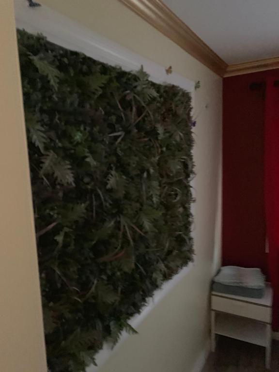 Bed in 6-Bed Dormitory Room