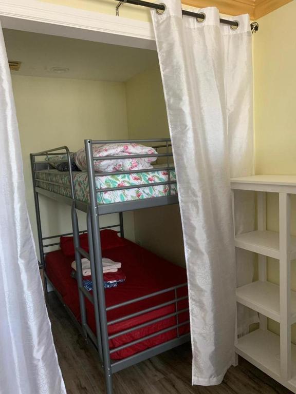 Bed in 6-Bed Dormitory Room