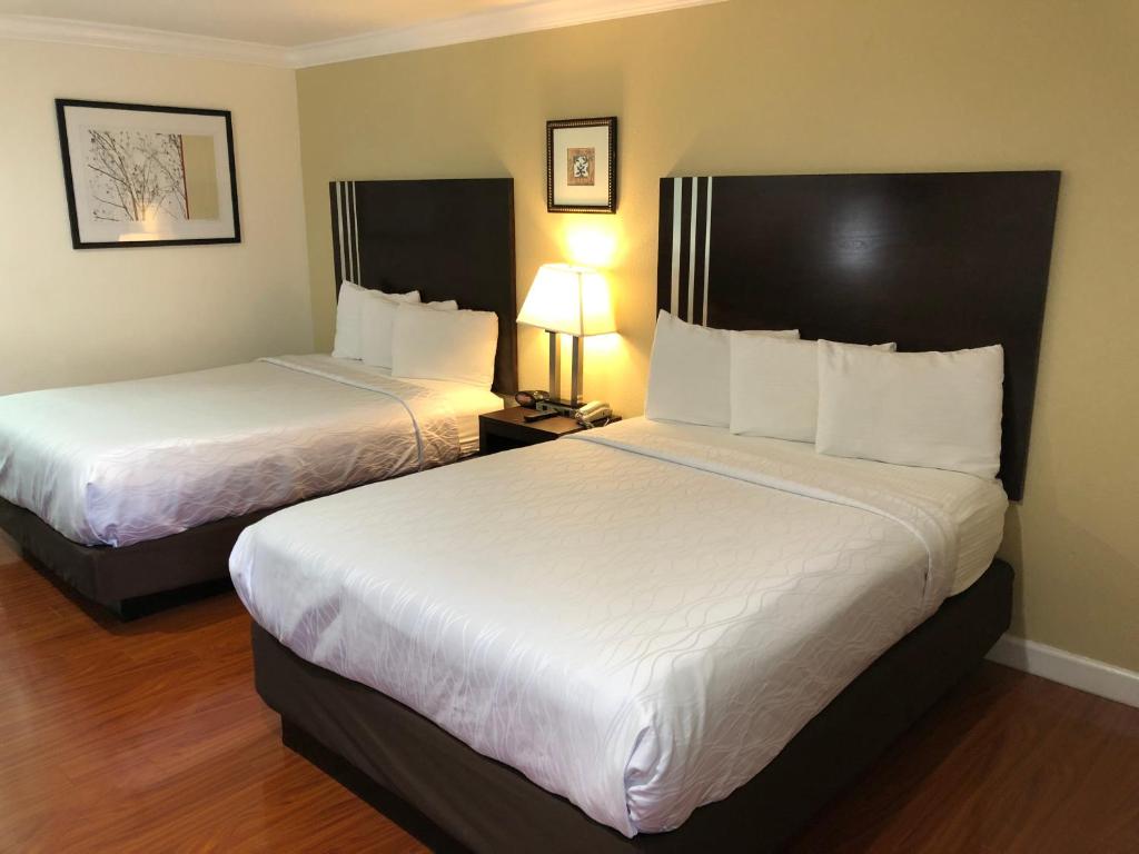 Queen Room with Two Queen Beds