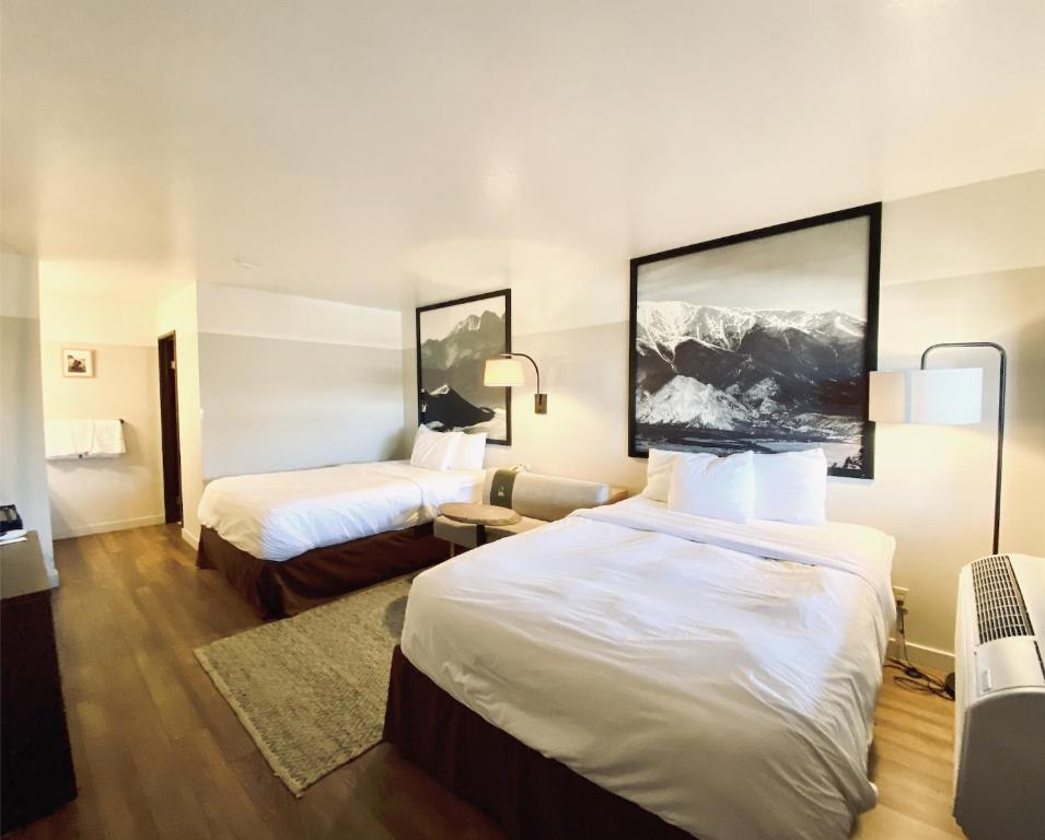 Loyal Duke Double Queen