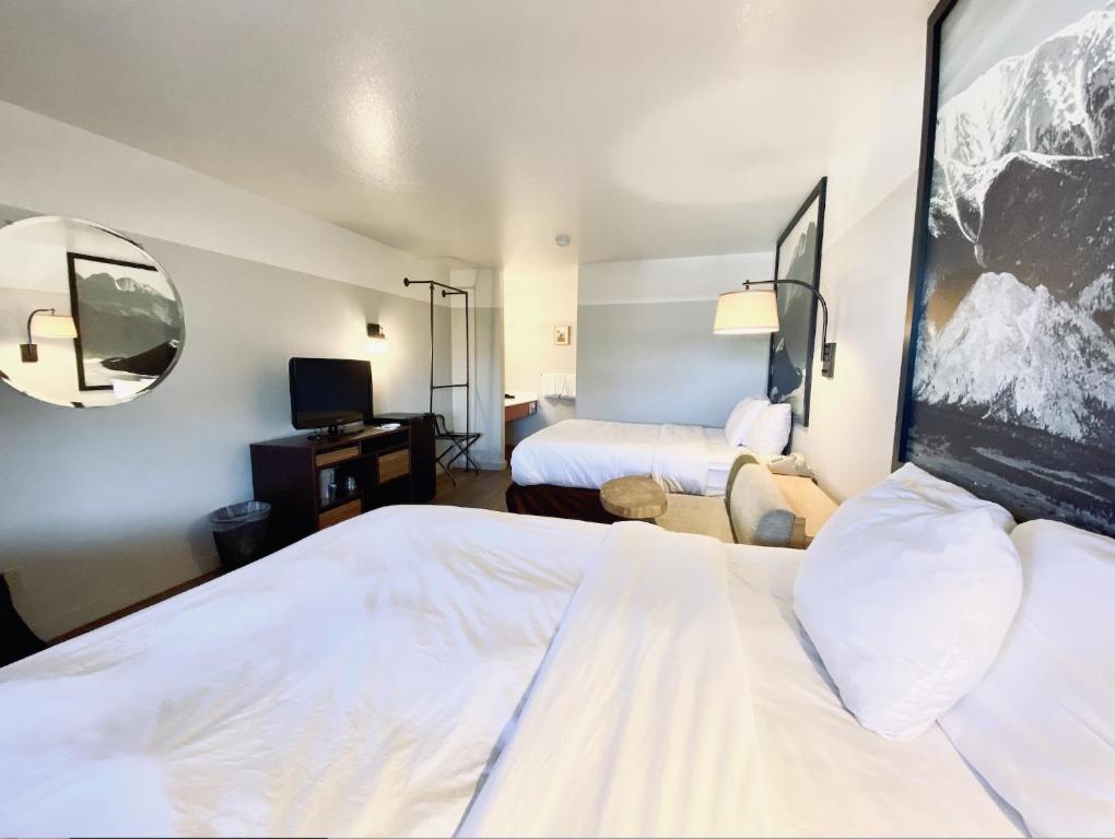 Loyal Duke Double Queen