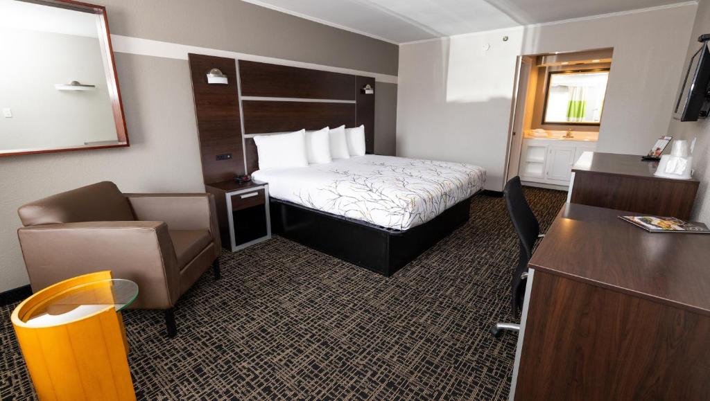 Executive Business King Non-Smoking