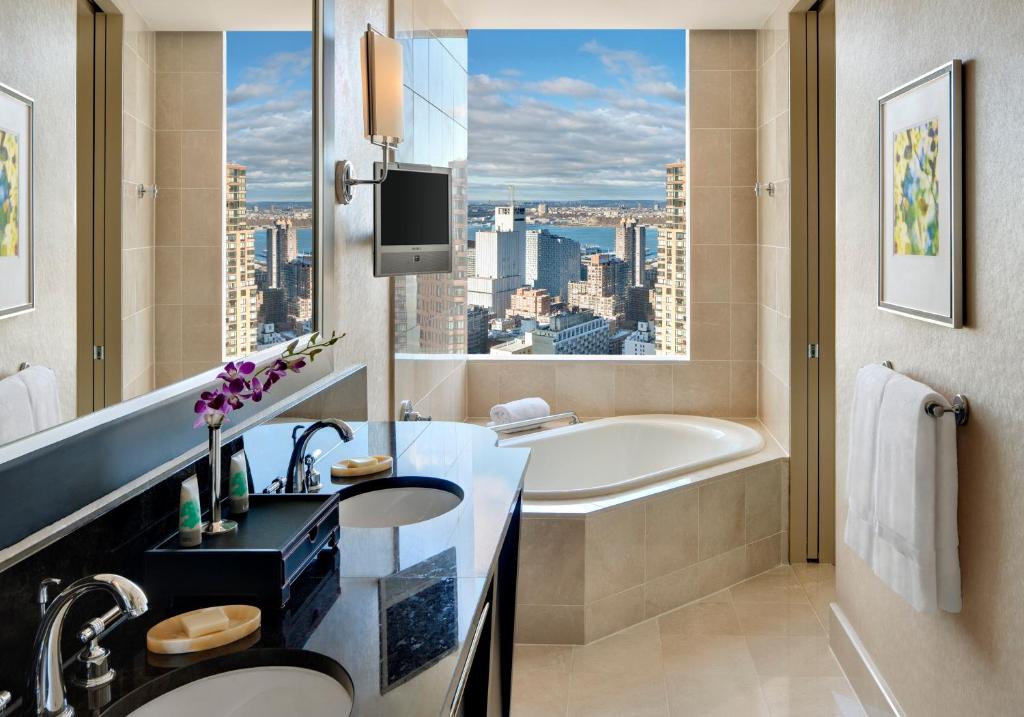 Hudson River View Accessible Twin – Bathtub