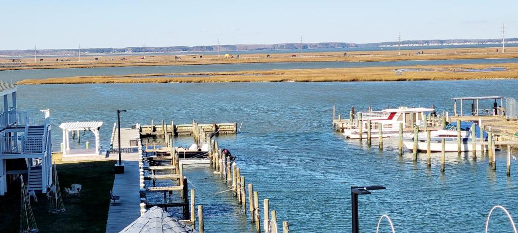 Deluxe Room with Two Queen Beds – Non-Smoking with Marina View