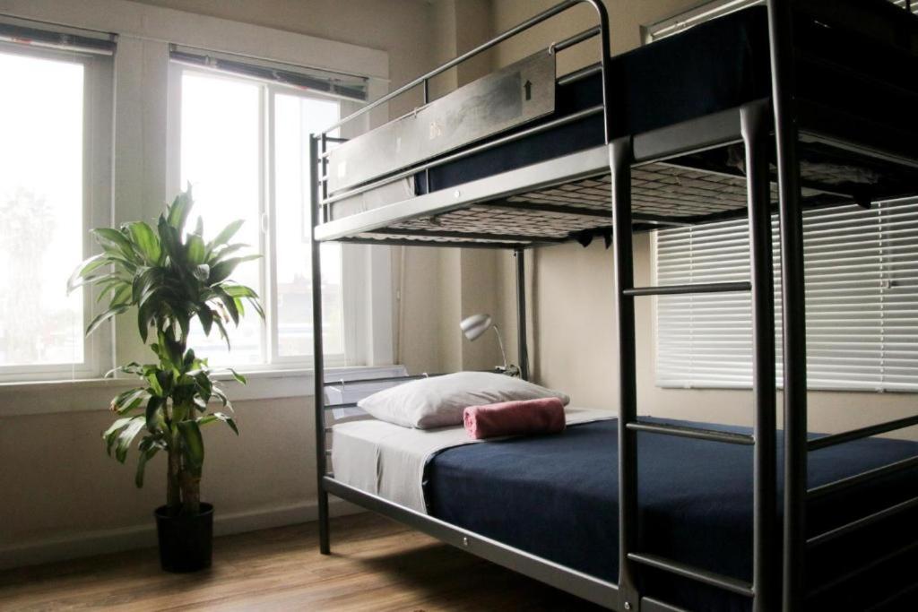 Bed in 10-Bed Mixed Dormitory Room