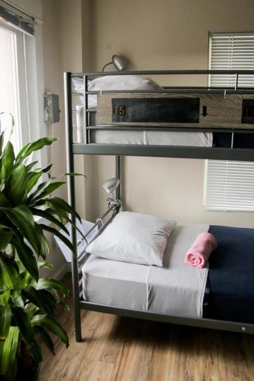 Bed in 10-Bed Mixed Dormitory Room