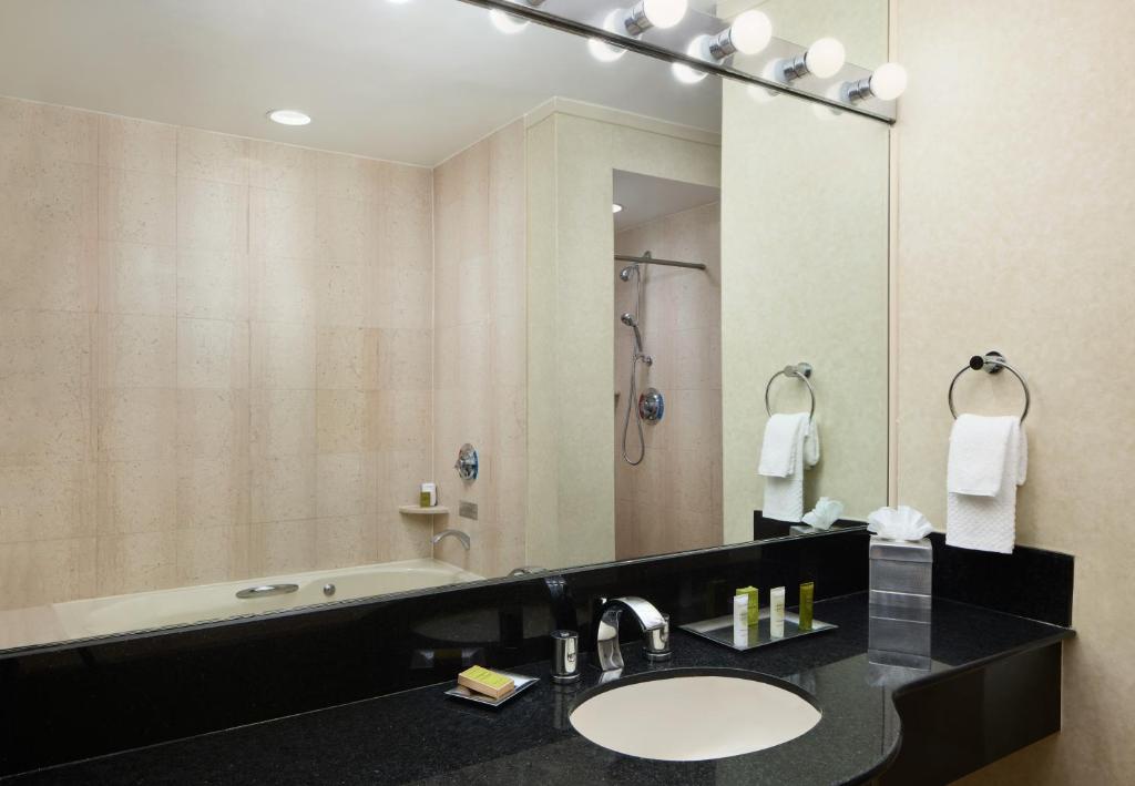 Deluxe One-Bedroom King Suite