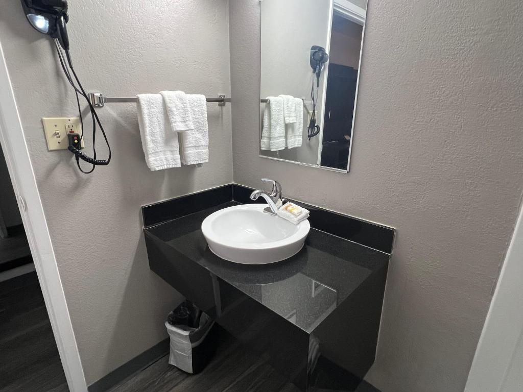 Queen Room – Disability Access – Roll in Shower