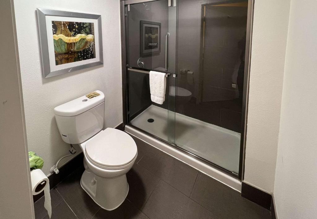 King Room – Non-Smoking