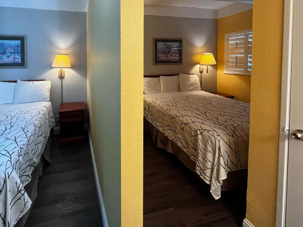 Quadruple Room – Non-Smoking