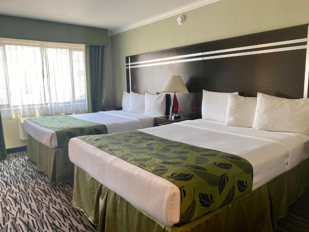 Standard Queen Room with Two Queen Beds