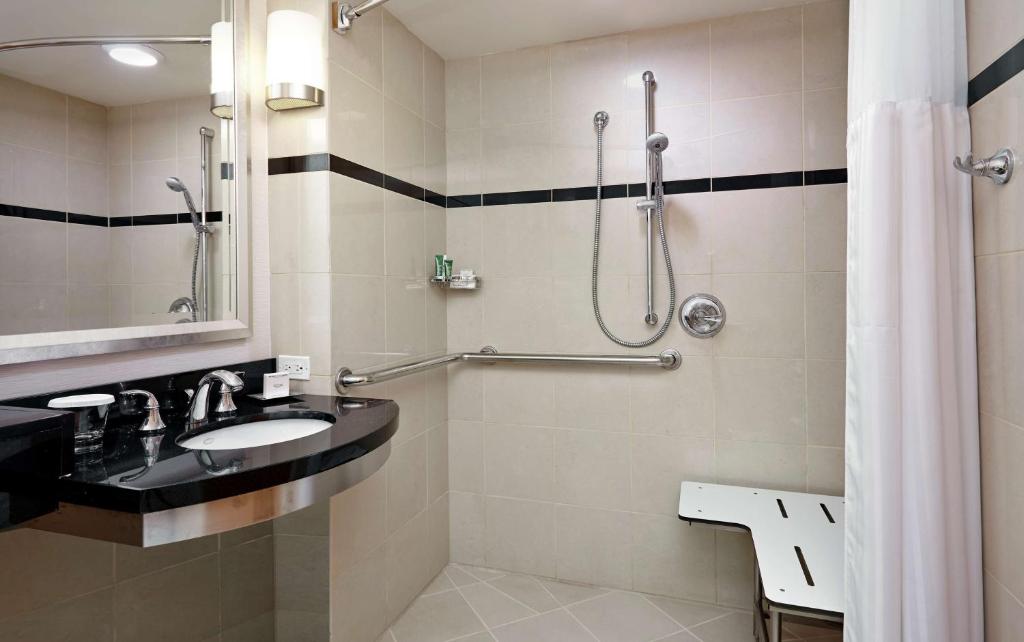 Skyline Room 1 King Mobility Access with Tub