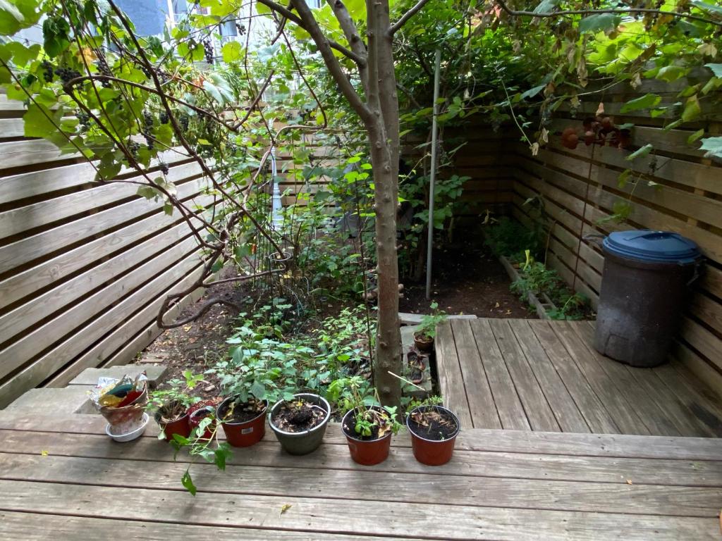 Deluxe Suite with Spa Bath