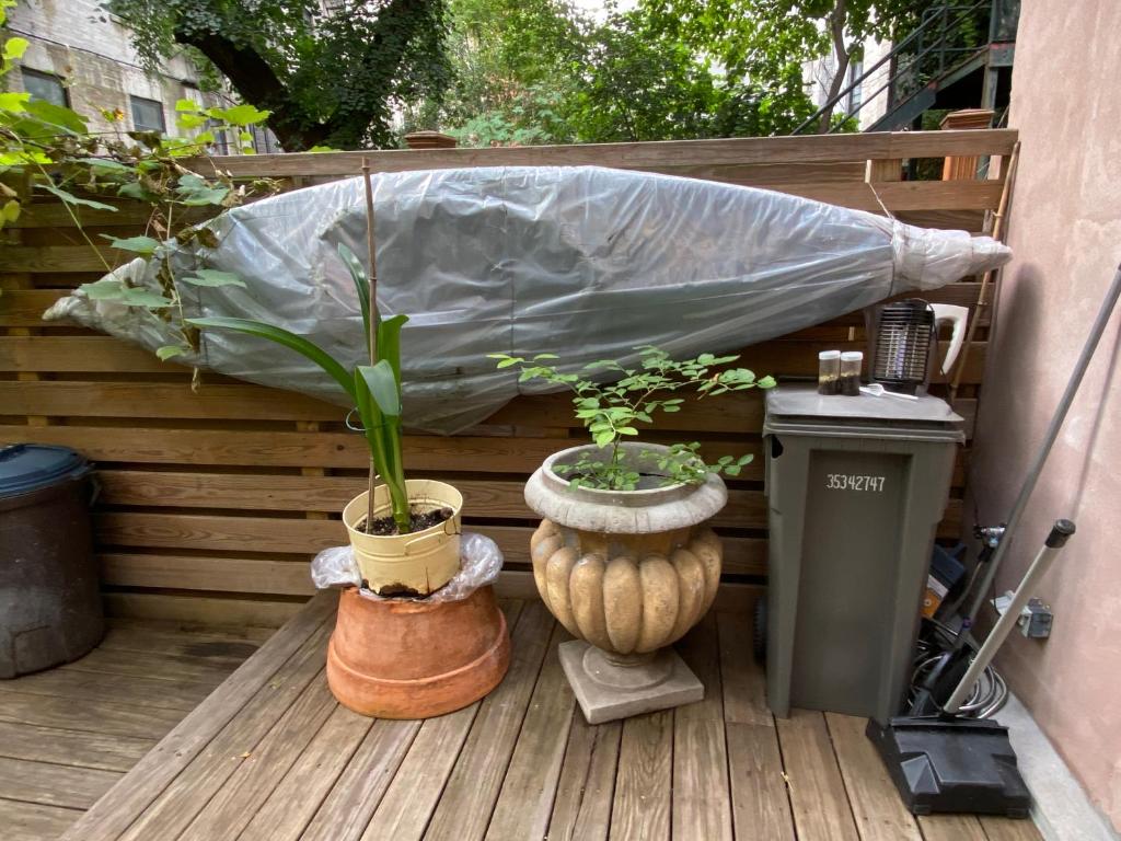 Deluxe Suite with Spa Bath