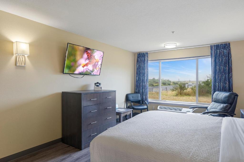 Queen Room – Disability Access No View