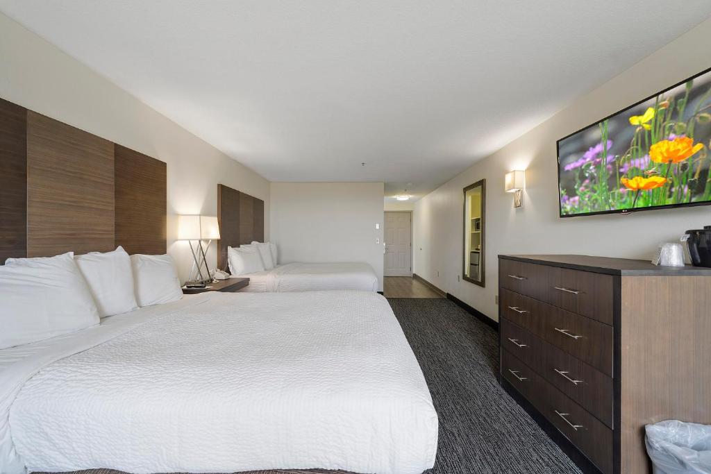 Queen Room with Two Queen Beds – No View