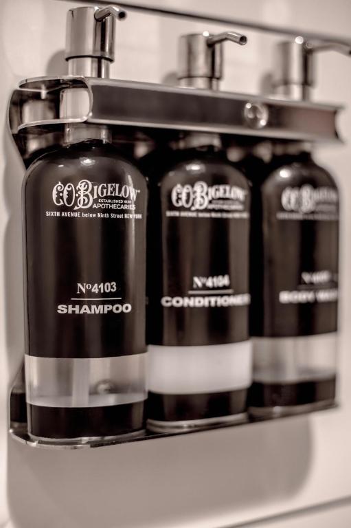 Premier Two Queen Room