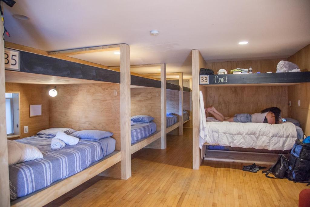 Bed in 6-Bed Dormitory Room