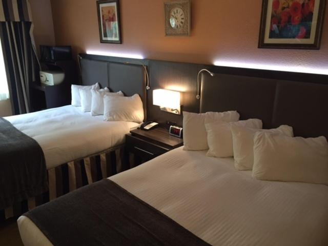 Standard Queen Room with Two Queen Beds